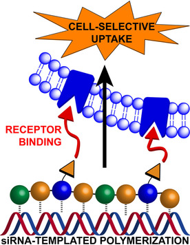 Cell-Selective siRNA Delivery Using Glycosylated Dynamic Covalent Polymers Self-Assembled In Situ by RNA Templating
