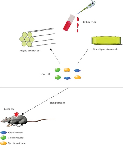 Details are in the caption following the image