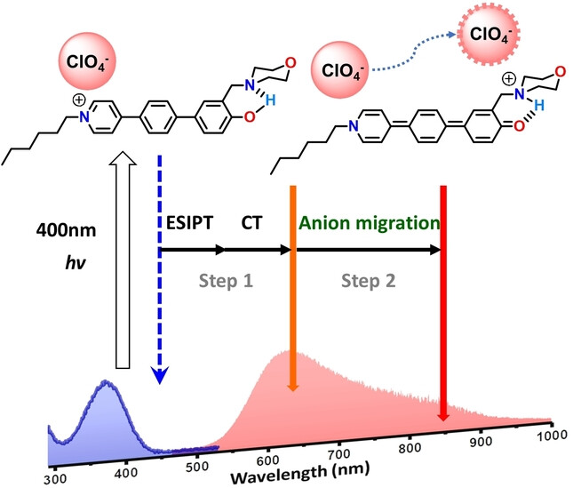 Light Induced Proton Coupled Charge Transfer Triggers Counterion Directional Translocation