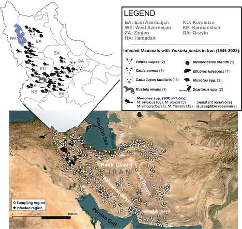 Details are in the caption following the image