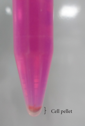 Details are in the caption following the image