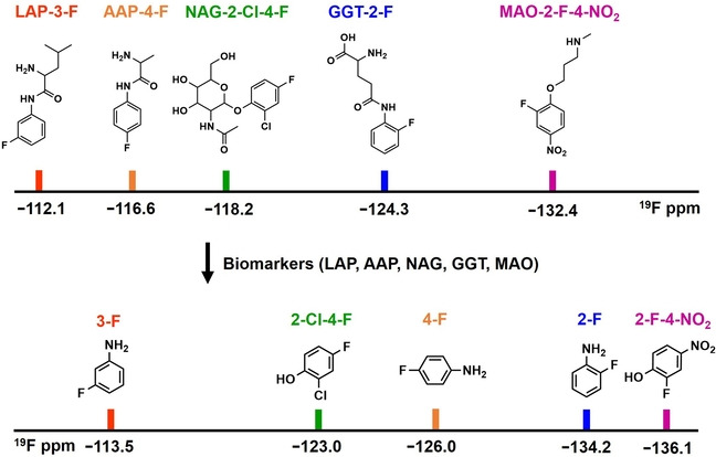 19F Barcoding Enables Multiplex Detection of Biomarkers Associated with Organ Injury and Cancer