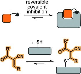 Reversible Covalent Inhibition of a Protein Target