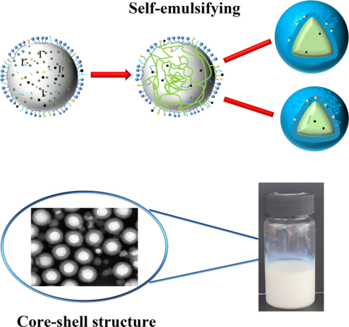 Preparation and characterization of self-emulsifying poly(ethylene glycol) methyl ether methacrylate grafted polyacrylate copolymers modified by waterborne polyester