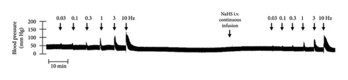 Details are in the caption following the image