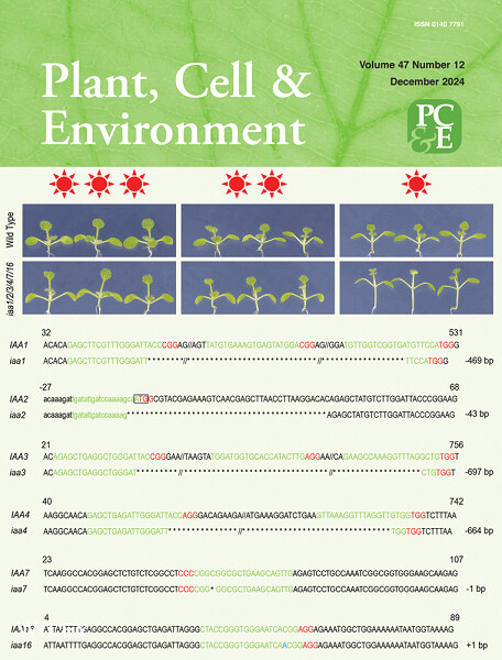Inside Front Cover Image Volume 47 Issue 12, 2024