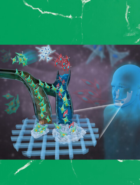 Cover Image, Volume 53, Issue 2