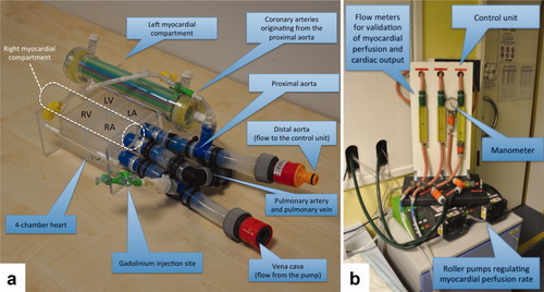 Details are in the caption following the image Details are in the caption following the image