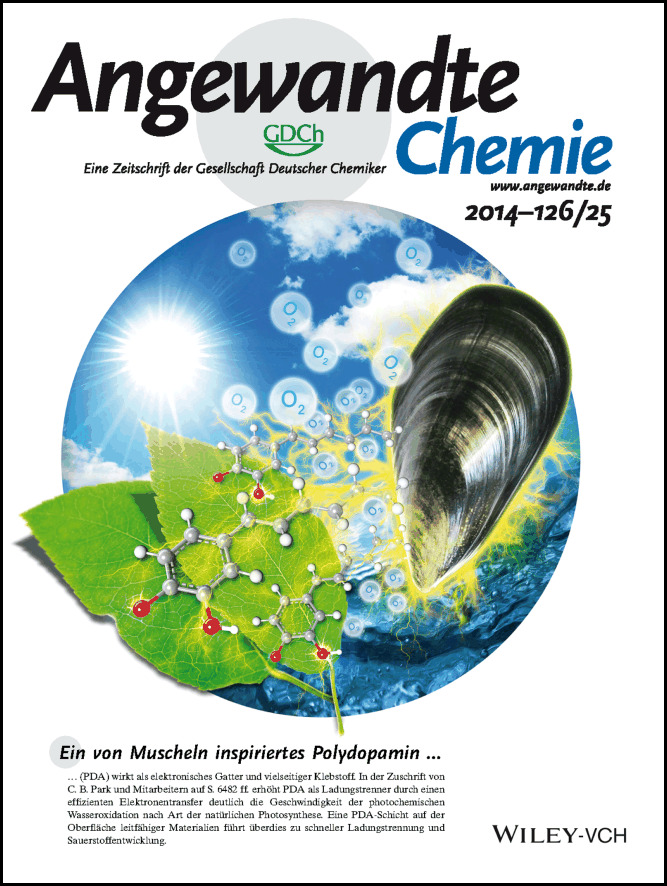Innentitelbild: Polydopamine as a Biomimetic Electron Gate for Artificial Photosynthesis (Angew. Chem. 25/2014)