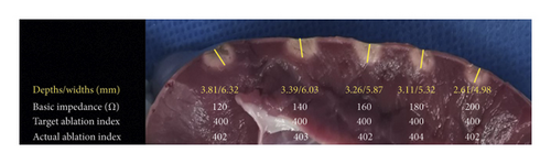Details are in the caption following the image Details are in the caption following the image
