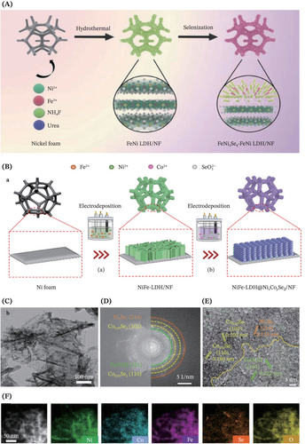 Details are in the caption following the image Details are in the caption following the image