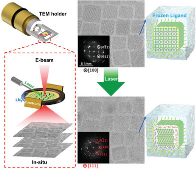 Freeze Metal Halide Perovskite for Dramatic Laser Tuning: Direct Observation via In Situ Cryo-Electron Microscope