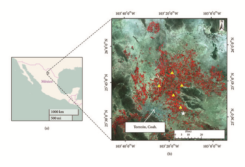 Details are in the caption following the image Details are in the caption following the image