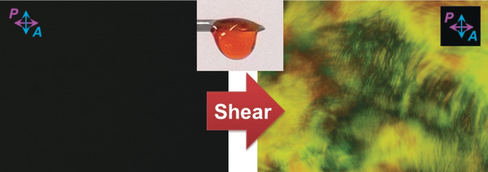 Genetically Engineered Supercharged Polypeptide Fluids: Fast and Persistent Self-Ordering Induced by Touch