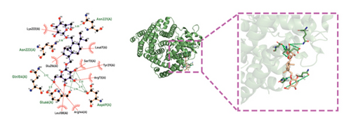 Details are in the caption following the image Details are in the caption following the image