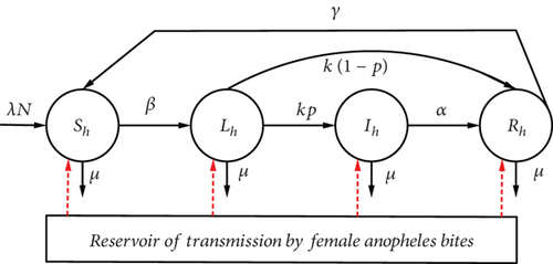 Details are in the caption following the image Details are in the caption following the image