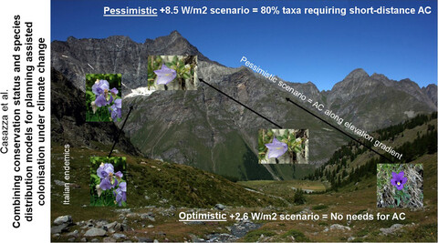 Combining conservation status and species distribution models for planning assisted colonisation under climate change Issue 6, 2021