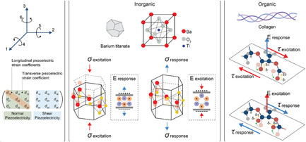 Biodegradable Piezoelectric Micro- and Nanomaterials for Regenerative Medicine, Targeted Therapy, and Microrobotics
