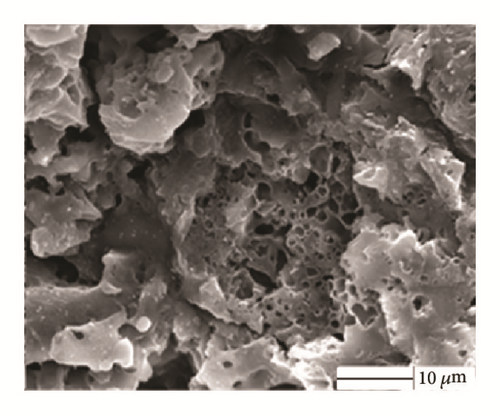 Details are in the caption following the image