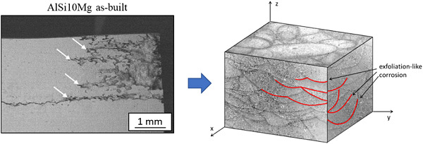 Effect of the T6 heat treatment on corrosion behavior of additive manufactured and gravity cast AlSi10Mg alloy
