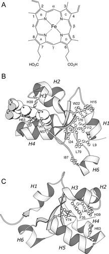 Details are in the caption following the image