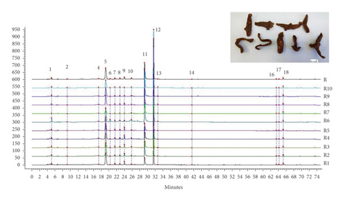 Details are in the caption following the image Details are in the caption following the image