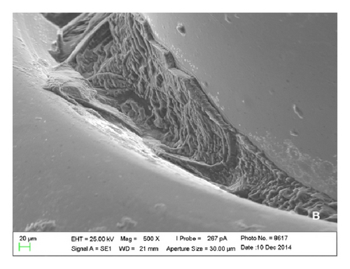 Details are in the caption following the image