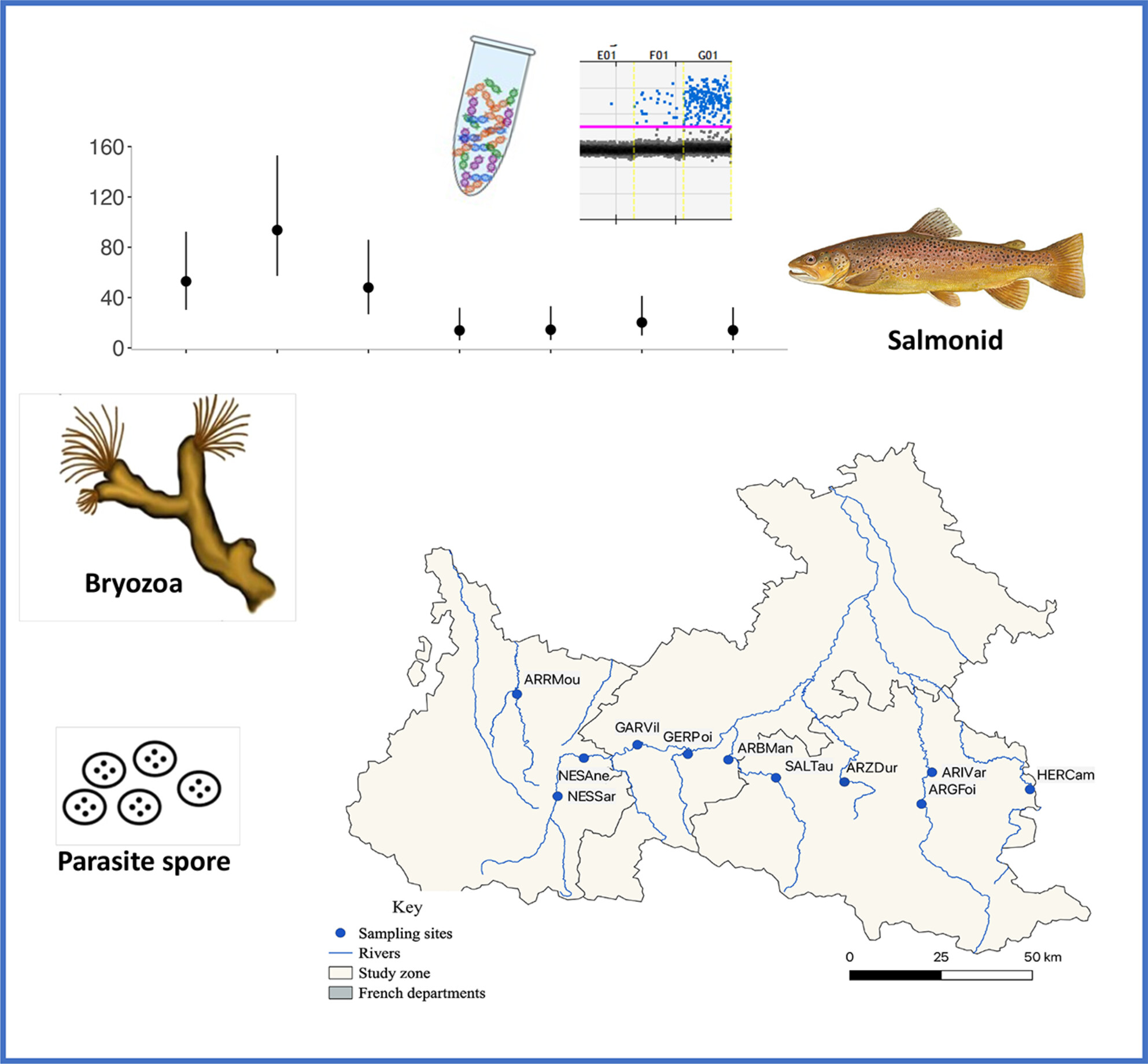 Temporal Dynamics of a Fish Parasite (Tetracapsuloides bryosalmonae) and Its Two Main Hosts in Pyrenean Streams: An Environmental DNA-Based Approach