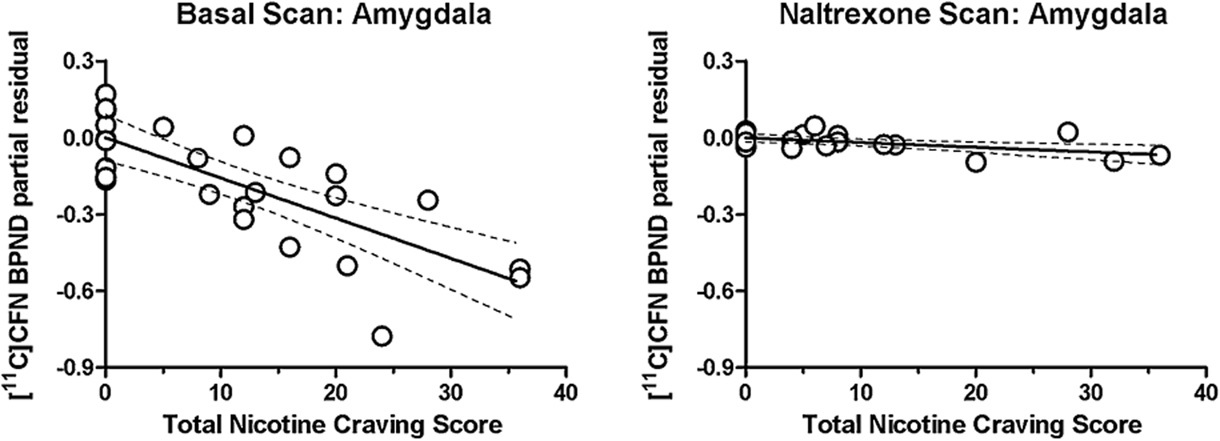Association of smoking with μ-opioid receptor availability before and during naltrexone blockade in alcohol-dependent subjects