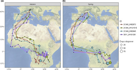 Climate anomalies affect annual survival rates of swifts wintering in sub-Saharan Africa