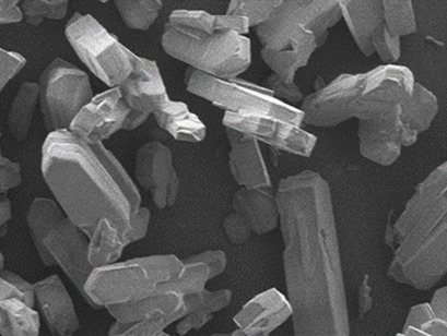 Unusual Crystal Growth Kinetics of (RS)-Ibuprofen from Ethanolic Solutions