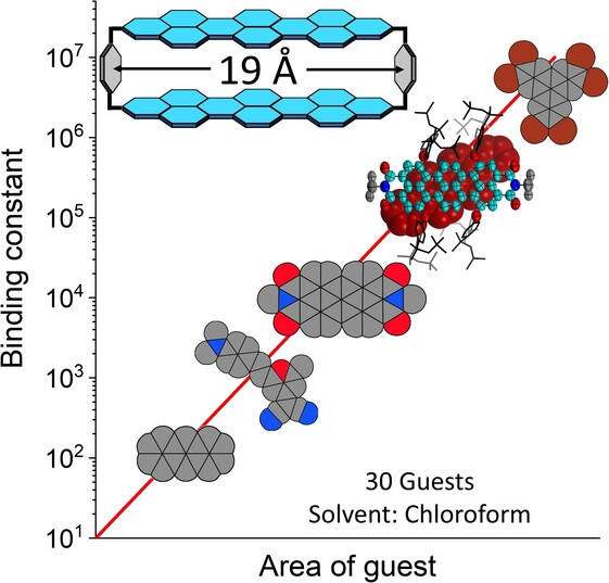 A Terrylene Bisimide based Universal Host for Aromatic Guests to Derive Contact Surface-Dependent Dispersion Energies