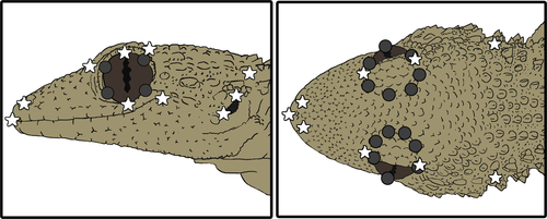 Details are in the caption following the image