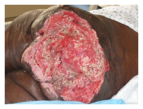 Details are in the caption following the image Details are in the caption following the image