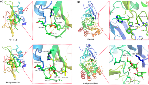 Details are in the caption following the image Details are in the caption following the image