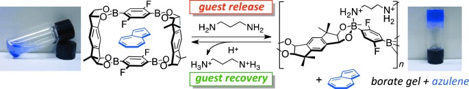 Release and Recovery of Guest Molecules during the Reversible Borate Gel Formation of Guest-Included Macrocyclic Boronic Esters