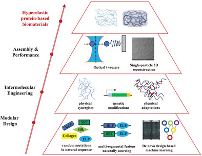 Proteins for Hyperelastic Materials