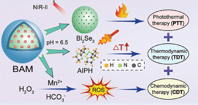 Acidic TME-Responsive Nano-Bi2Se3@MnCaP as a NIR-II-Triggered Free Radical Generator for Hypoxia-Irrelevant Phototherapy with High Specificity and Immunogenicity