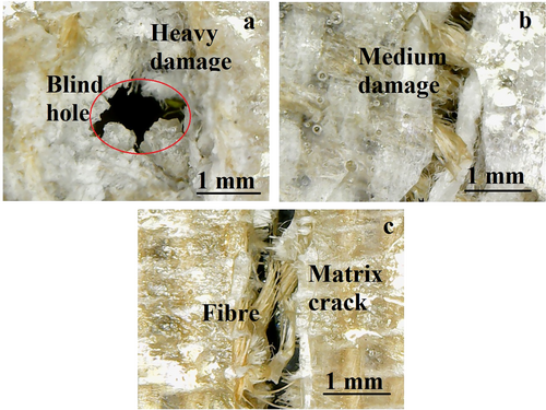 Details are in the caption following the image Details are in the caption following the image