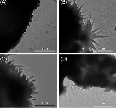 Heat capacity and viscosity of ternary carbonate nanofluids