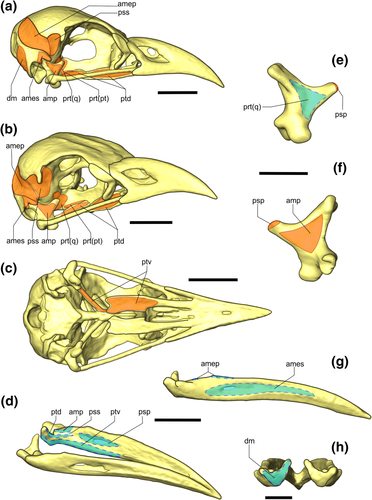 Details are in the caption following the image Details are in the caption following the image