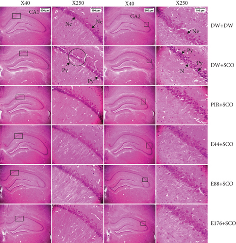 Details are in the caption following the image Details are in the caption following the image