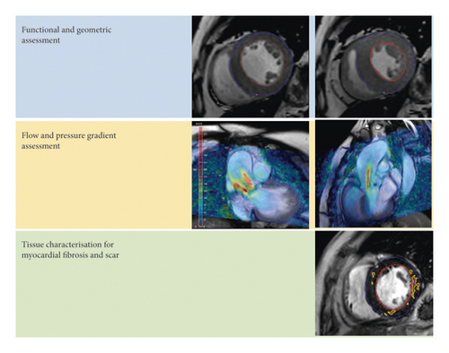 Details are in the caption following the image Details are in the caption following the image