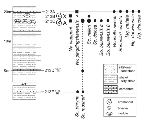 Details are in the caption following the image Details are in the caption following the image