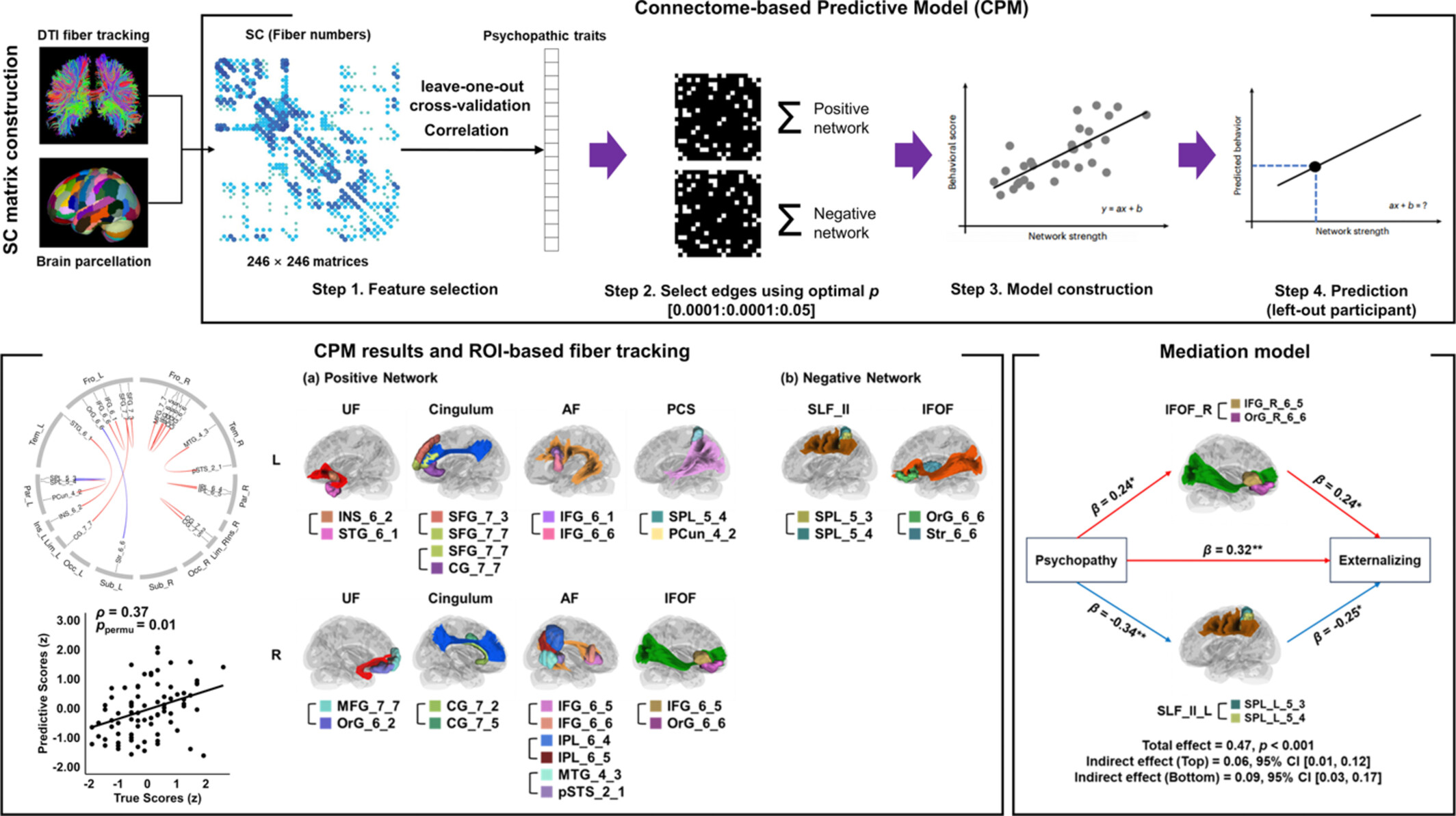 The Role of Structural Brain Networks in Psychopathy and Its Relation to Externalizing Behaviors
