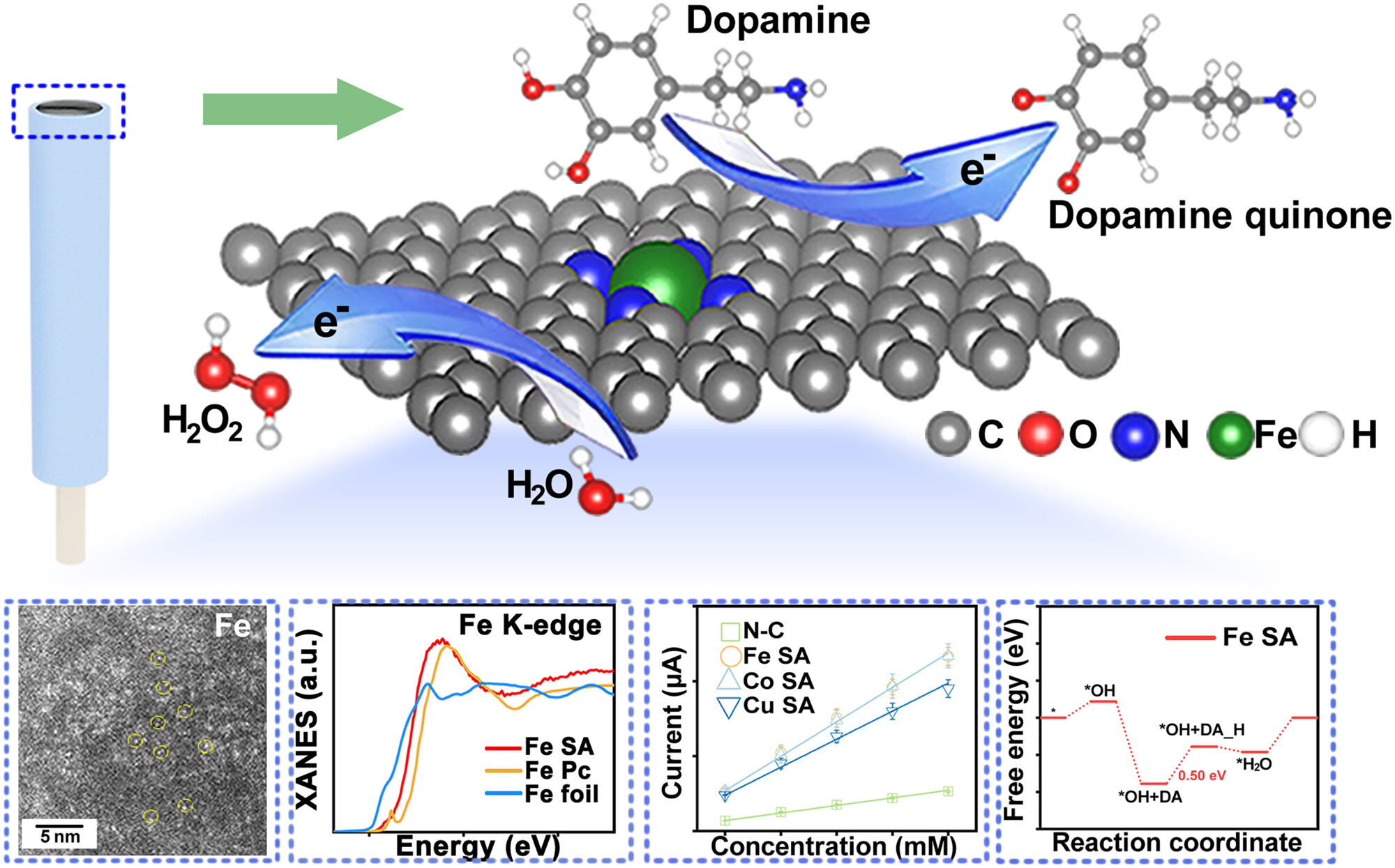 Boosted Sensitivity of Single-Atom Sites for Dopamine and Hydrogen Peroxide Detection Issue 4, 2025