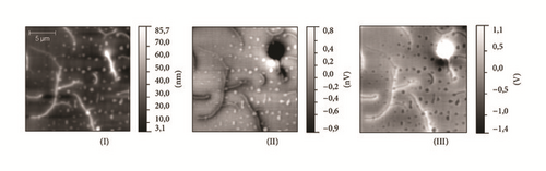 Details are in the caption following the image