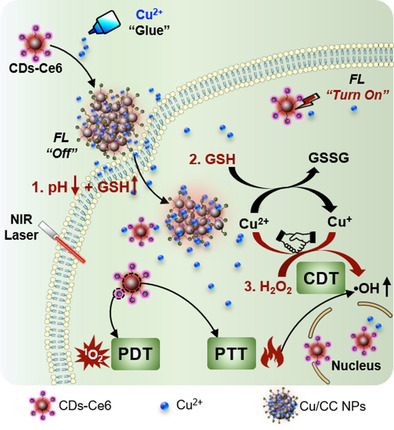 Tumor Microenvironment Stimuli-Responsive Fluorescence Imaging and Synergistic Cancer Therapy by Carbon-Dot–Cu2+ Nanoassemblies