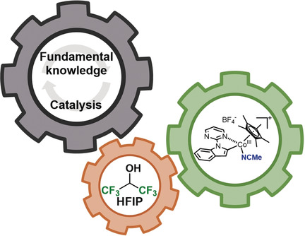HFIP-Assisted C−H Functionalization by Cp*CoIII: Access to Key Reactive Cobaltacycles and Implication in Catalysis