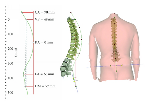 Details are in the caption following the image Details are in the caption following the image